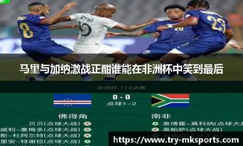 马里与加纳激战正酣谁能在非洲杯中笑到最后
